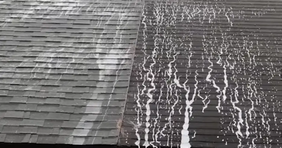 Water beading on the treated side of a shingle roof, the untreated side soaking it up